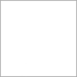 Chemica - Rouleau de Thermocollant en Hotmark Revolution - Blanc (White) - 30 cm x 5 m