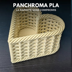 Panchroma Basic PLA - Beige - 1,75 mm - 1 kg