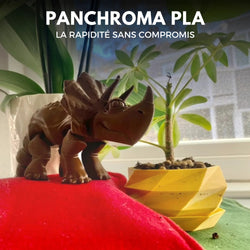 Panchroma Basic PLA - Marron (Brown) - 1,75 mm - 1 kg