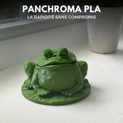 Panchroma Basic PLA - Vert Jungle (Jungle Green) - 1,75 mm - 1 kg