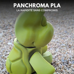 Panchroma Basic PLA - Vert Olive (Olive Green) - 1,75 mm - 1 kg