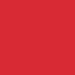 Chemica - Rouleau de Thermocollant de Hotmark Revolution - Rouge Vif (Vivid Red) -  30 cm x 5 m